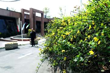 بهار در قاب دانشگاه علوم بهزیستی و توانبخشی